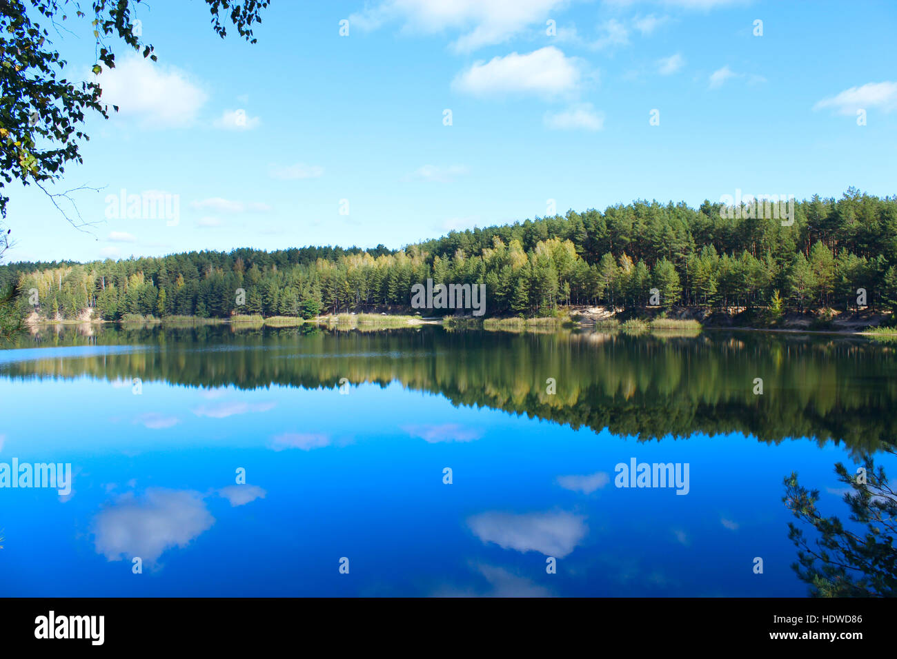 landscape with lake in the forest and reflection on the water surface ...