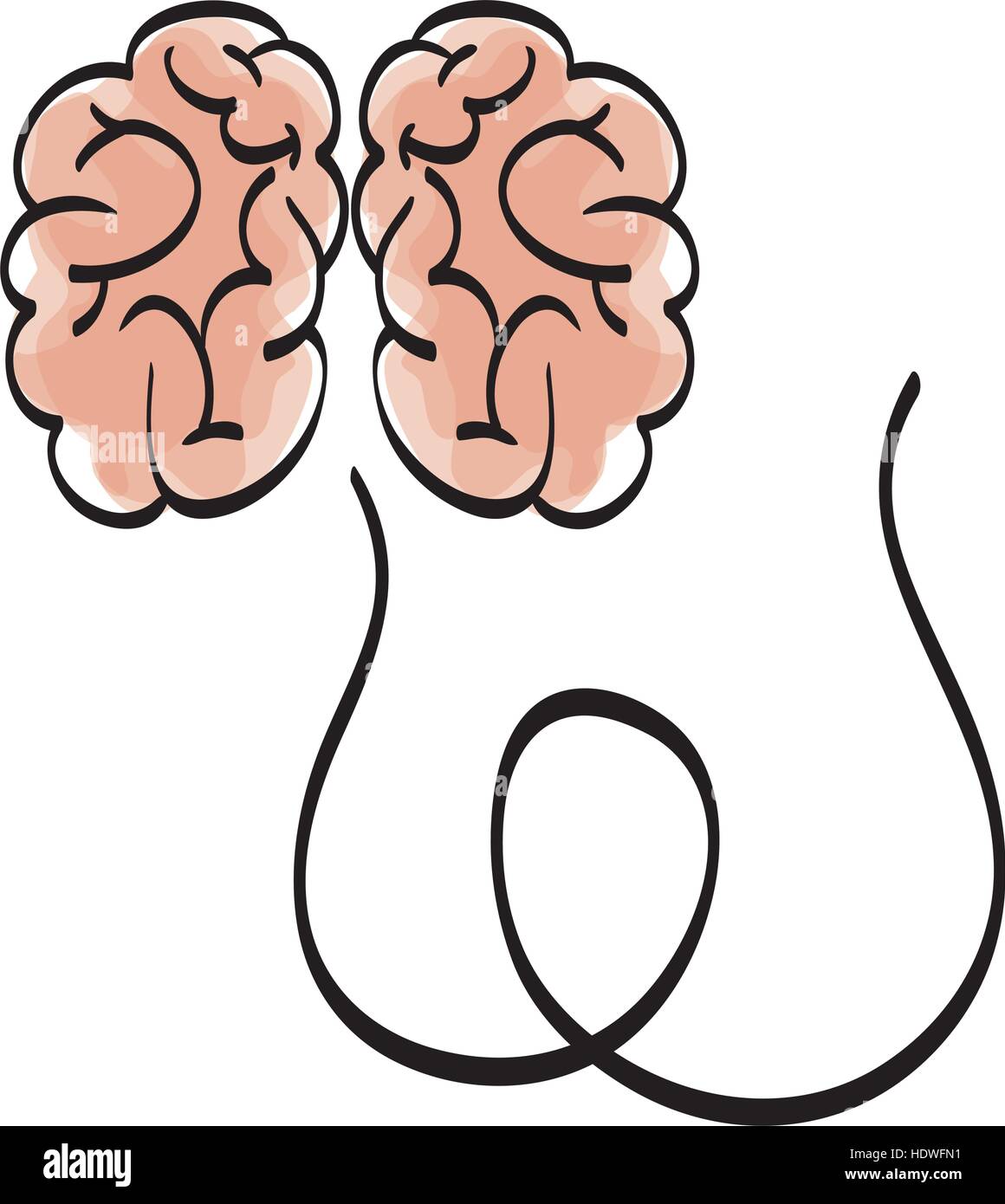Human brain scribble icon vector illustration graphic design Stock ...