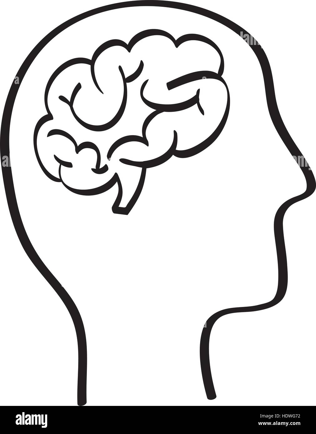 Human brain and head silhouette icon vector illustration graphic design ...