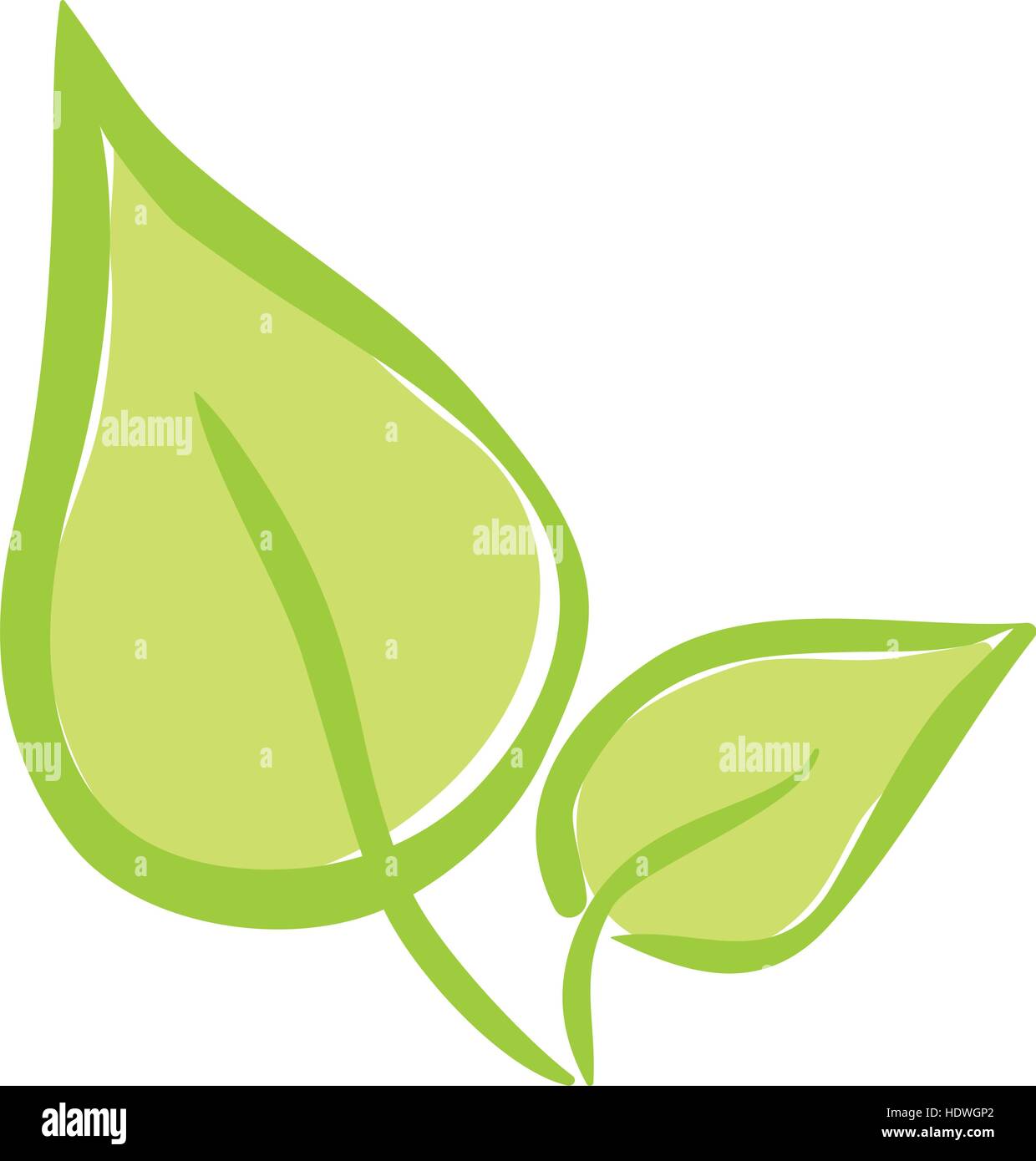 Isolated natural leaves icon vector illustration graphic design Stock ...