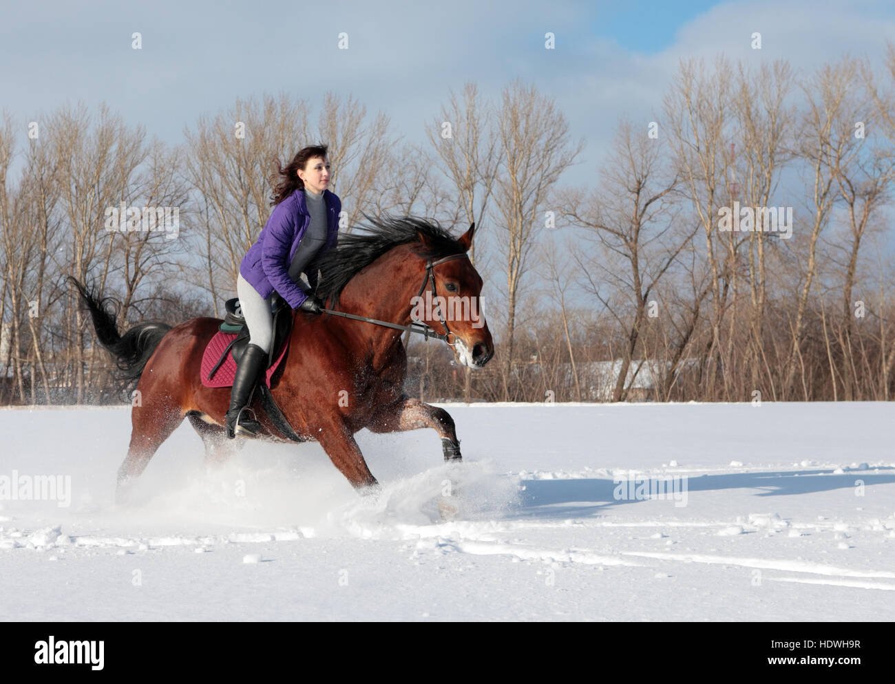 Woman riding in snow in sunny winter day Stock Photo