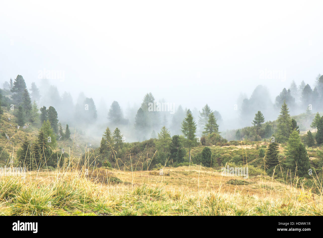 Italian dolomites in cloud cover Stock Photo - Alamy