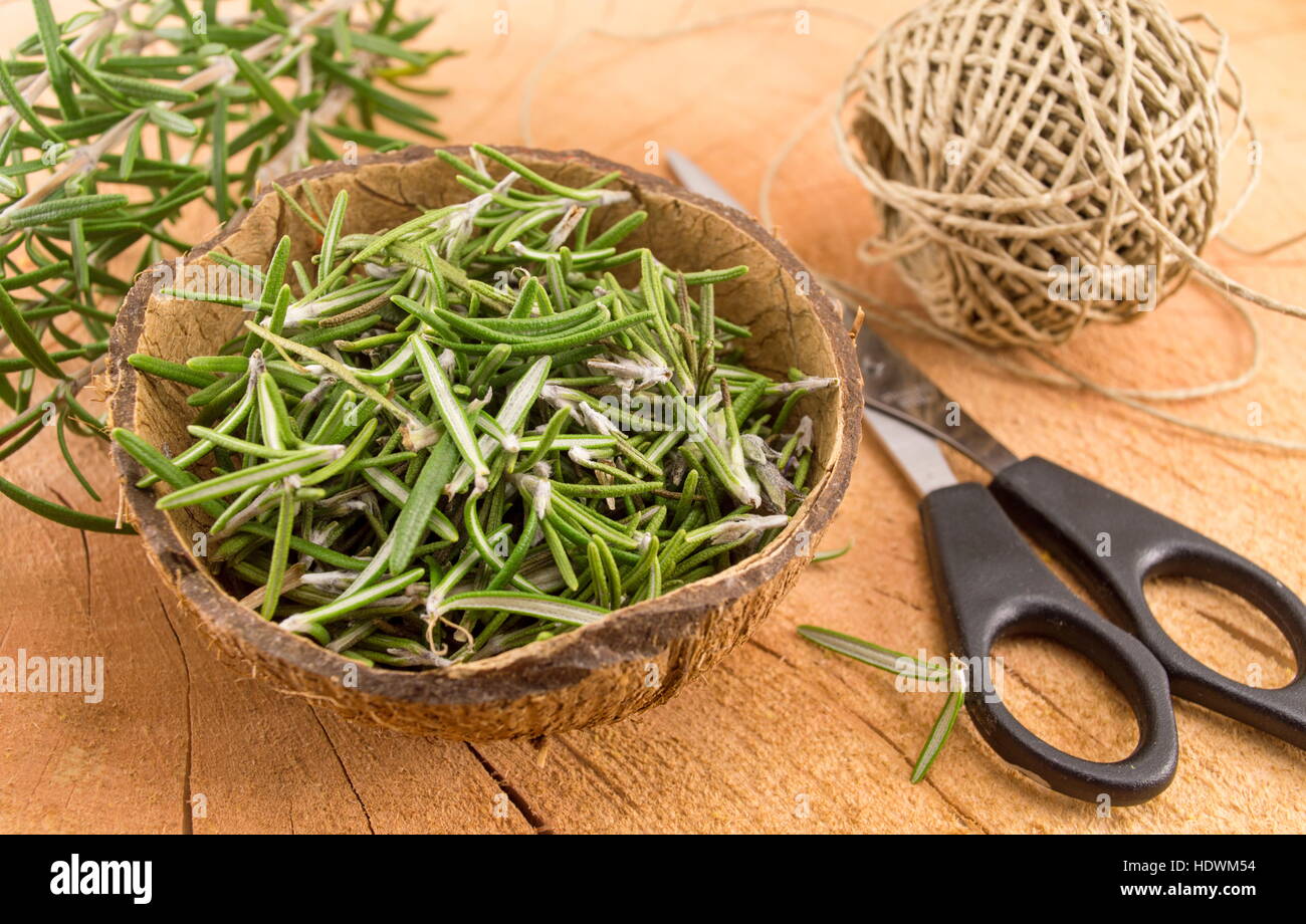 rosemary in a coconut shell with a pair of scissors and a rope Stock Photo