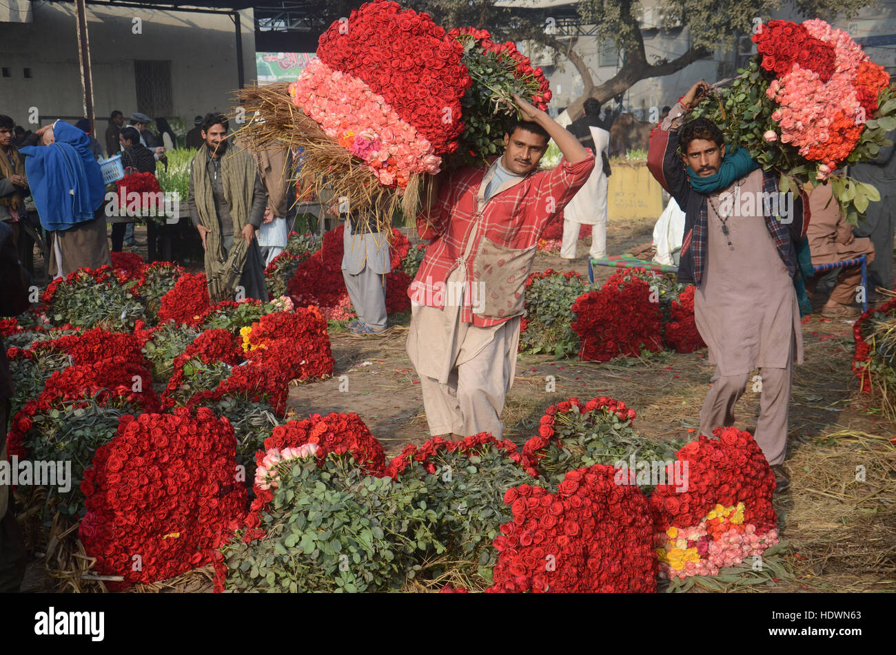 Lahore, Punjab, Pakistan. 14th Dec, 2016. Pakistani Flower wholesalers