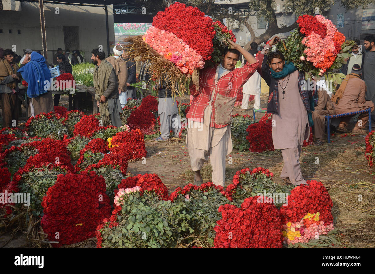 Lahore, Punjab, Pakistan. 14th Dec, 2016. Pakistani Flower wholesalers