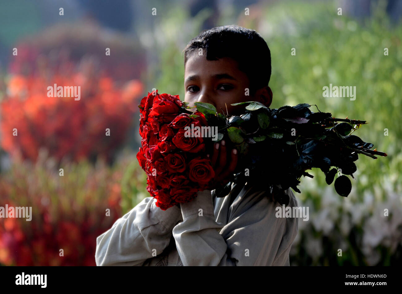 Pakistan Rozo Lahore, Punjab, Pakistan. 14th Dec, 2016. Pakistani Flower wholesalers ...