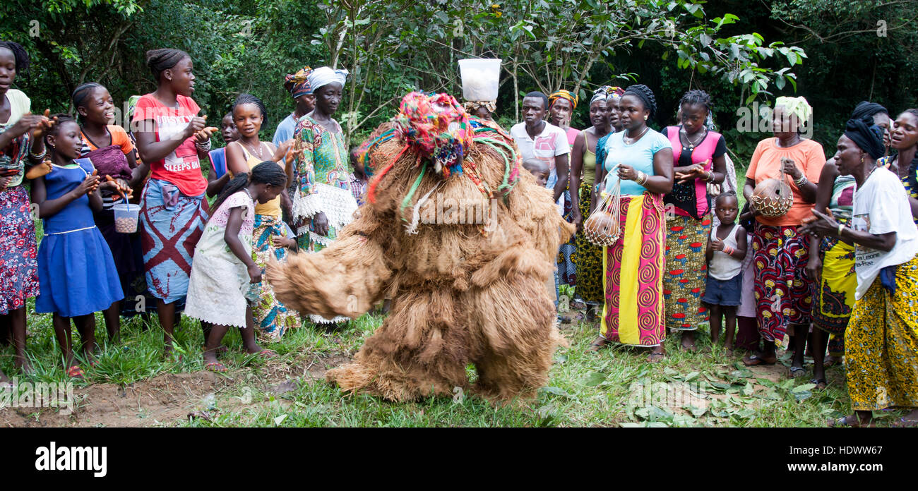 The Mende Gbeni mask, dressed in a long costume of undyed raffia, dances before a group of women and children in the Gola rainforest area, Sierra Leone. Stock Photo