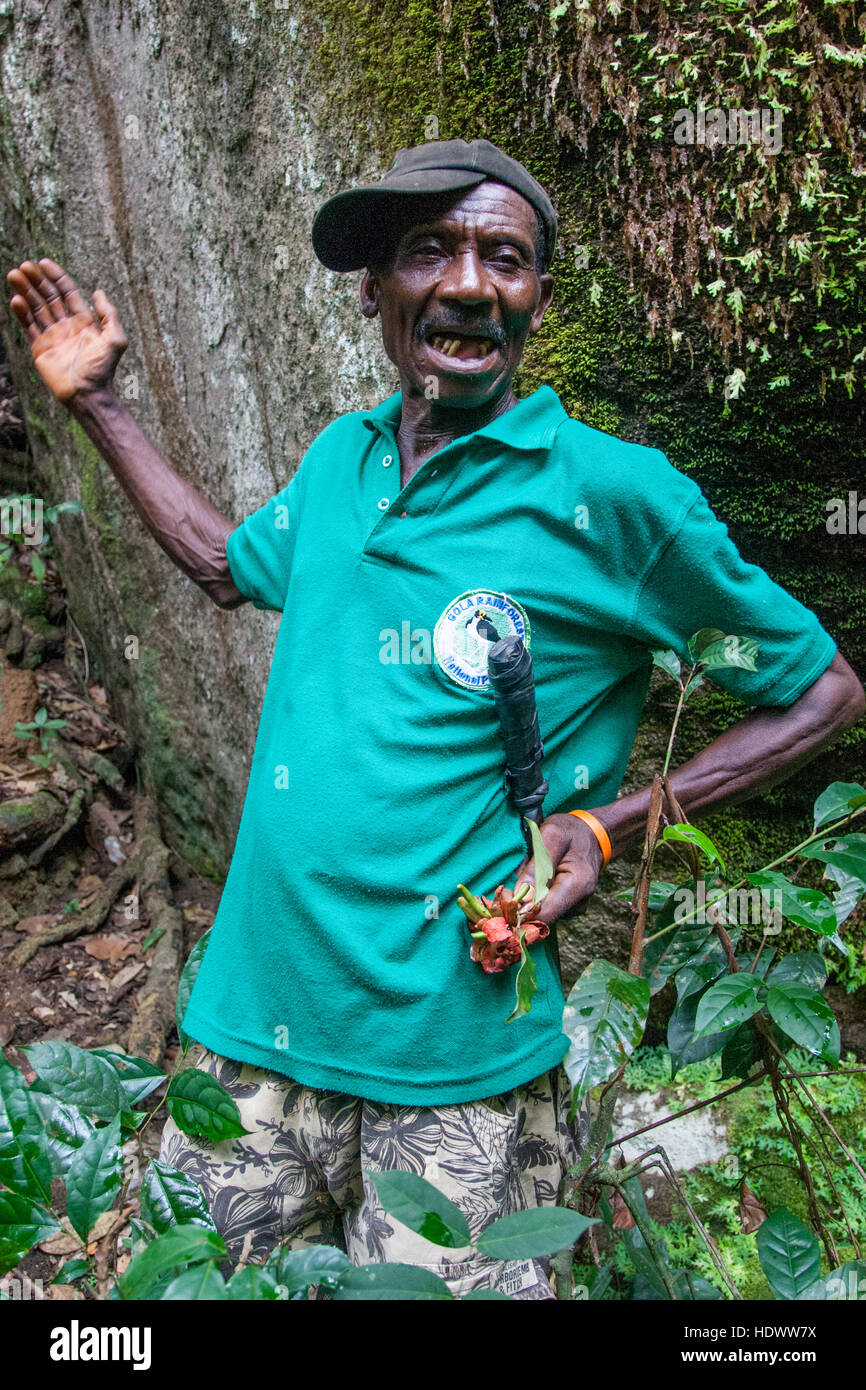 Ranger in Gola Rainforest, Sierra Leone Stock Photo