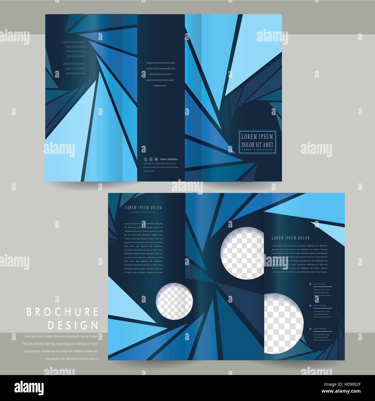 modern trifold brochure template design in blue Stock Vector Image