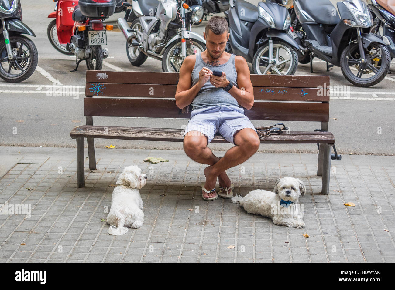 A 20s Spanish male sits on a city bench on a sidewalk checking his smartphone with two white dogs in Barcelona, Spain. Stock Photo