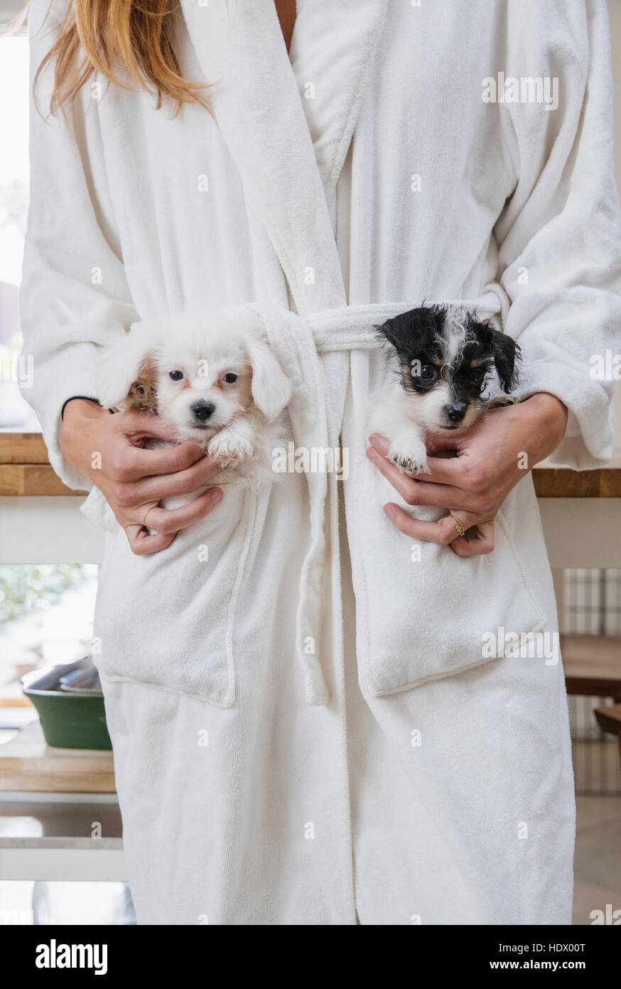Caucasian woman wearing bathrobe carrying puppies in pockets Stock Photo