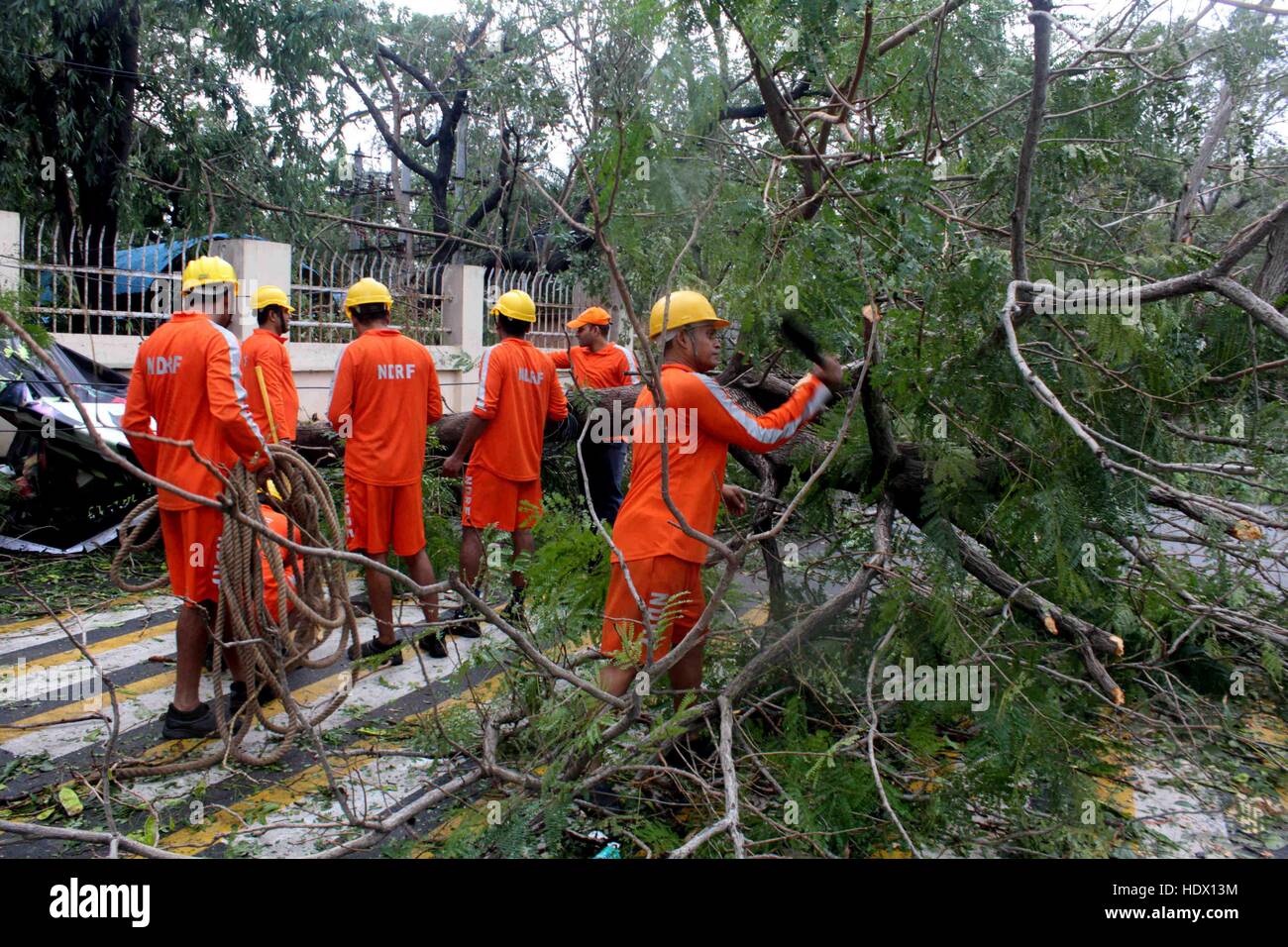 Ndrf hires stock photography and images Alamy