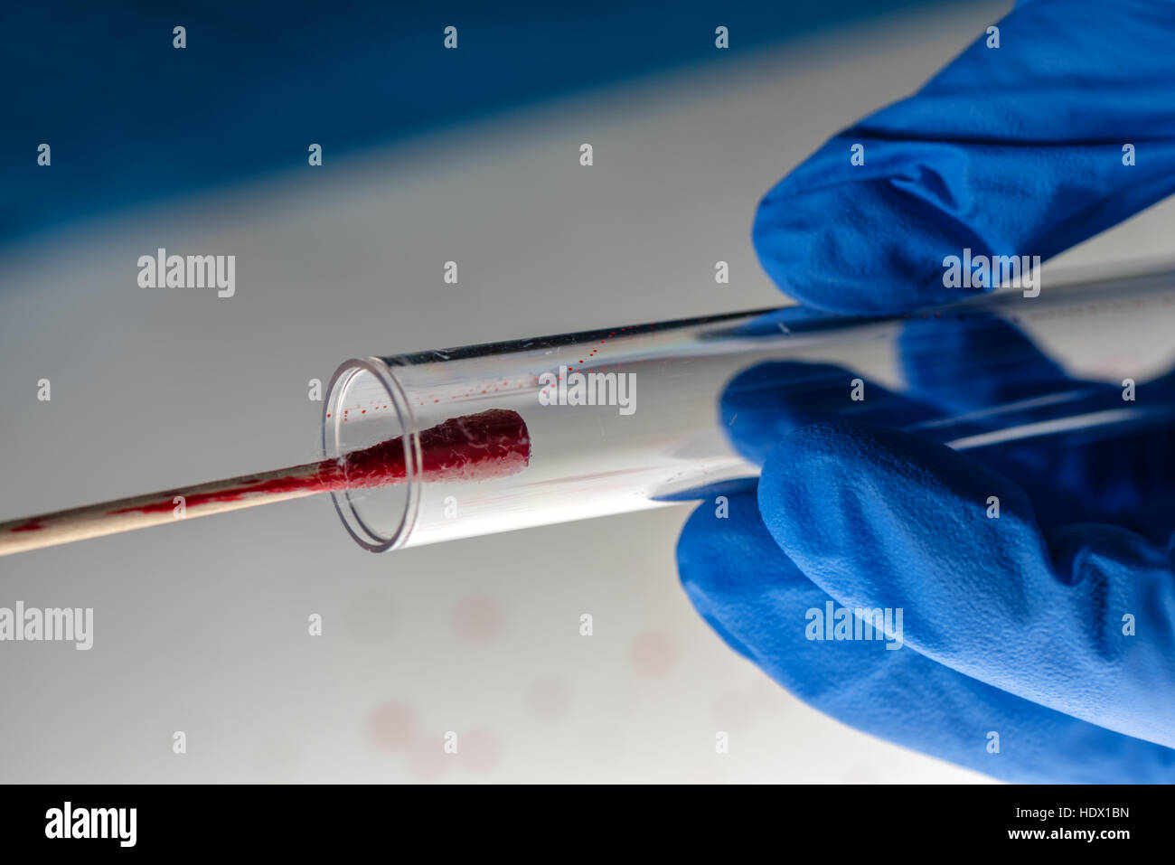 Forensic technician taking DNA sample from blood stain with cotton swab on murder crime scene Stock Photo