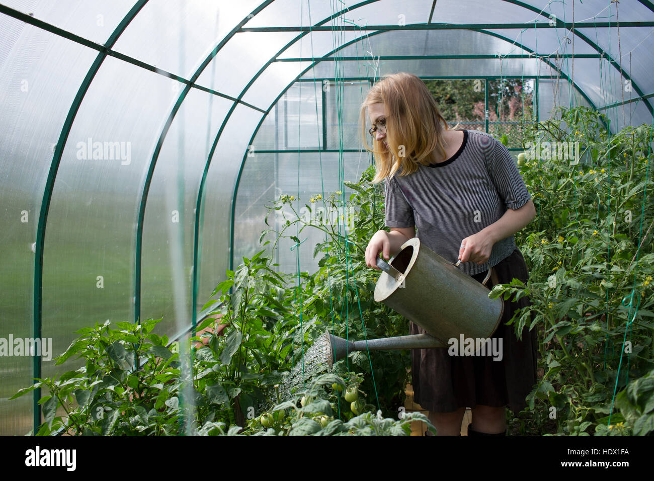 Caucasian woman watering greenhouse with watering can Stock Photo