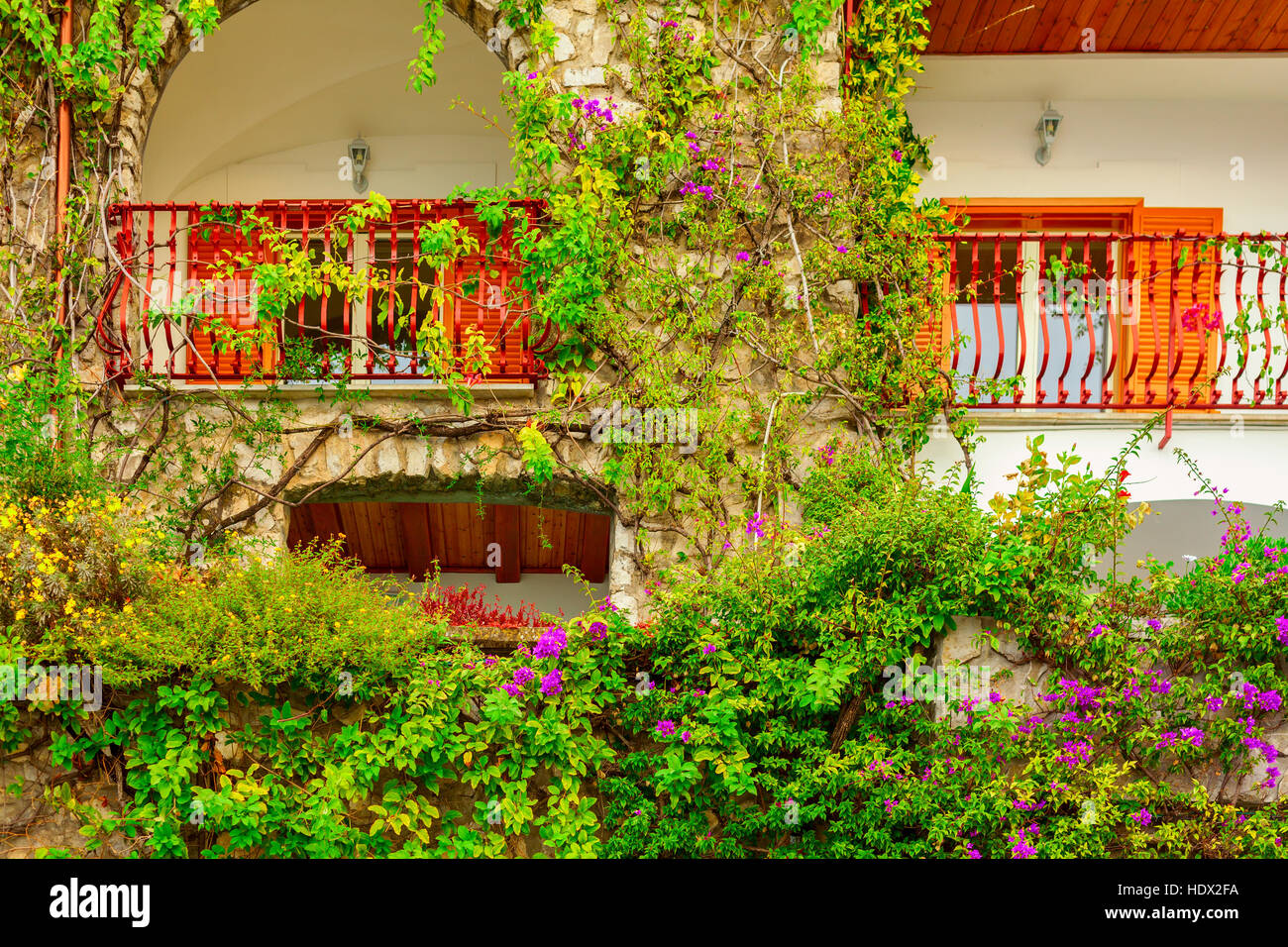 amazing ivy on a balcony Stock Photo Alamy