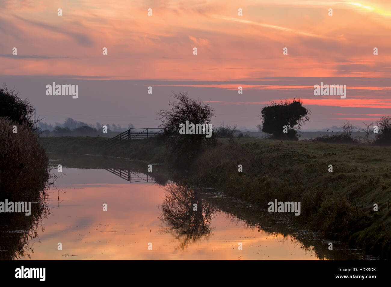 Dawn breaking over Pevensey Levels. Stock Photo