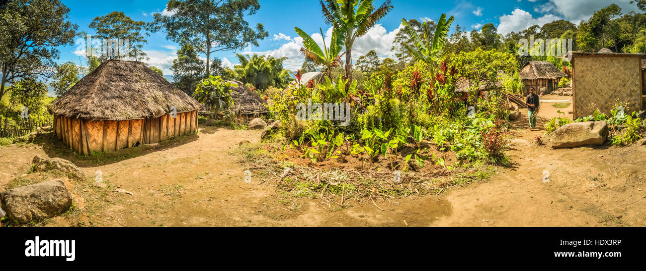 Village houses and greenery in Sara village and Mt. Michael, Papua New Guinea. In this region, one can only meet people from isolated local tribes. Stock Photo