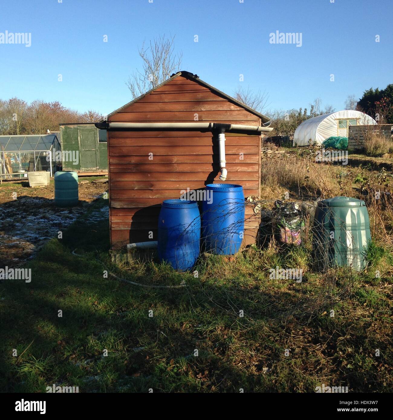 Winter allotment water butt butts shed conserve rainwater waterwise conservation environment preservation Stock Photo