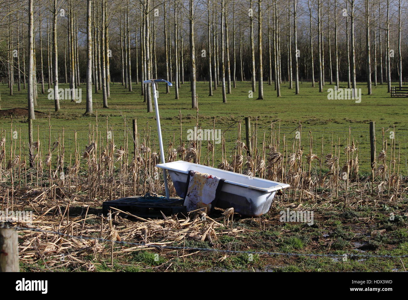 bath tub shower countryside wood outside quirky commercial surreal cutout cut out towel Stock Photo