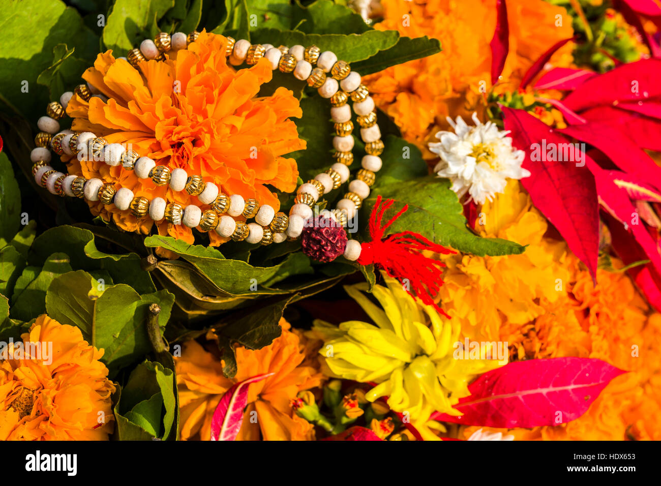 Colorful flowers for religious use are sold at Pashupatinath Temple Stock Photo Alamy