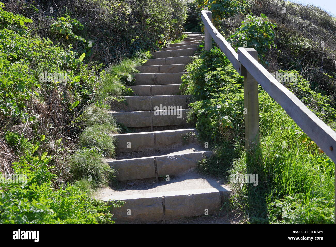 Steps on footpath in countryside / clifftop walk near to Kimmeridge Bay