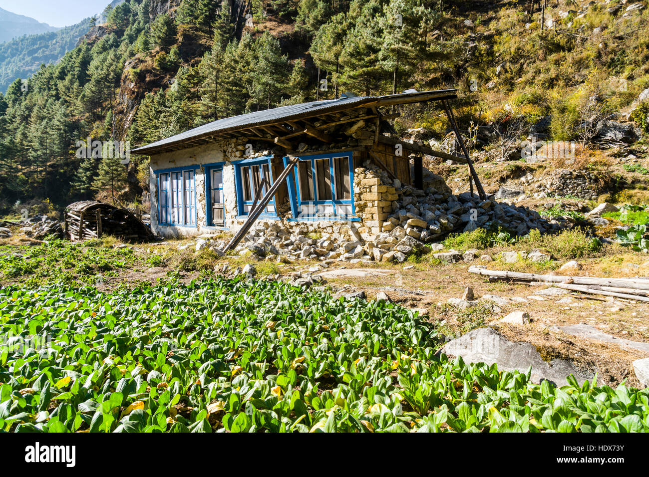 Earthquake damage house hi-res stock photography and images - Alamy