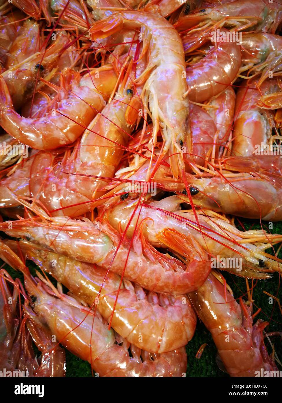 Shrimp in fish market Stock Photo Alamy