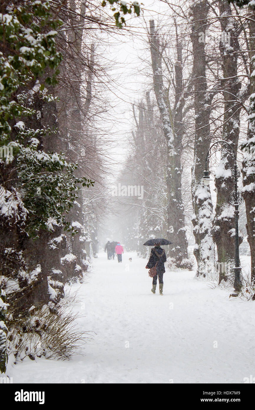 Walking home in the Snow  Dane John Gardens Canterbury Kent Stock Photo