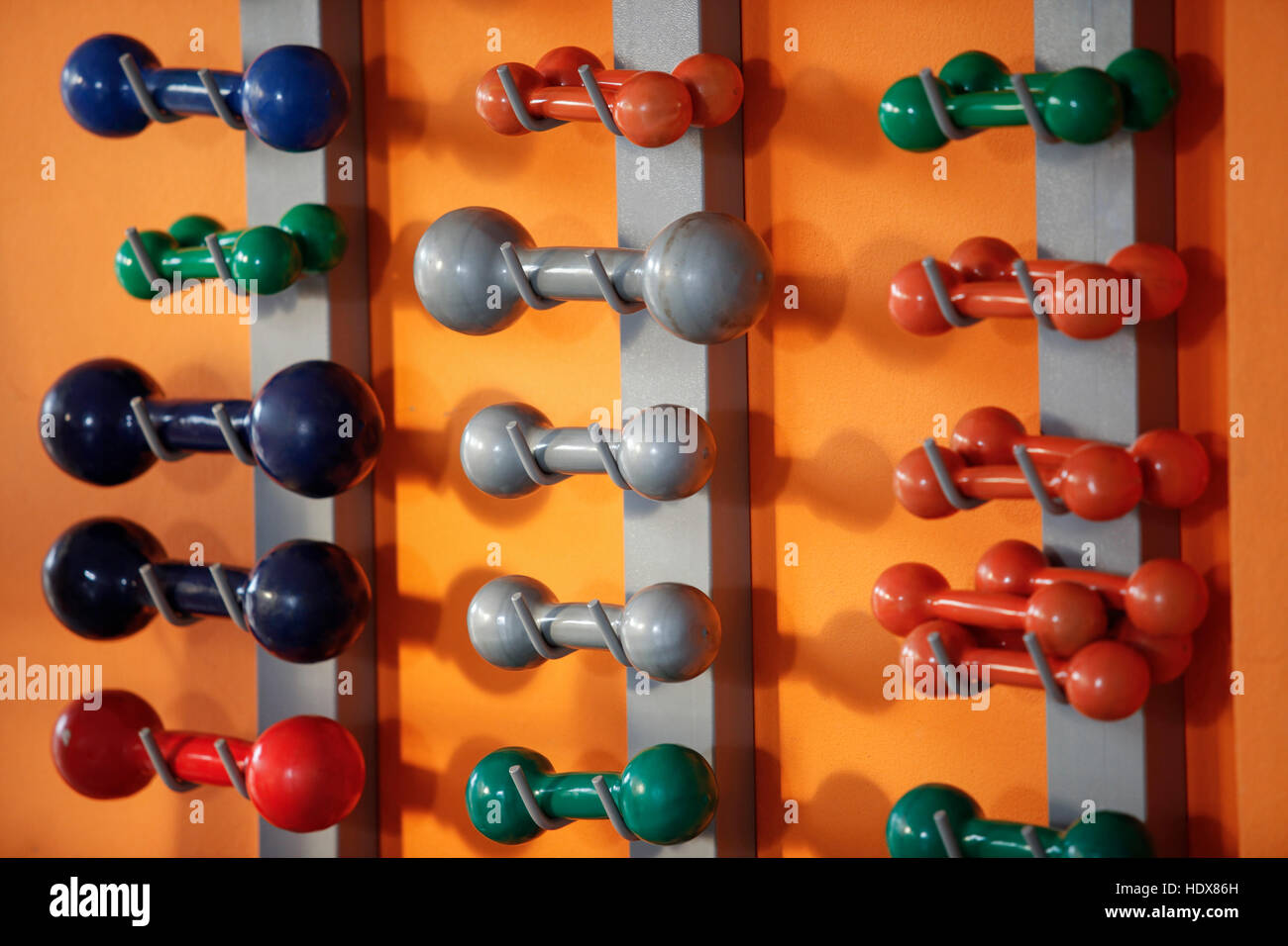 Several dumbbells weights in gym Stock Photo