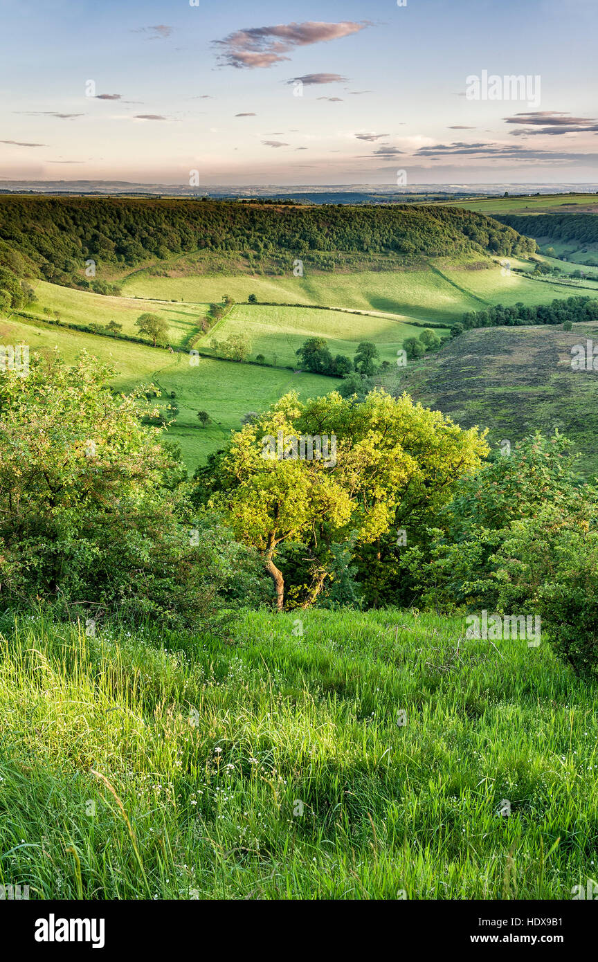 Evening light on the Hole of Horcum Stock Photo