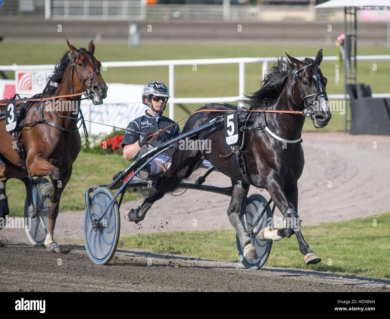 Harness racing driver Mattias Djuse behind Minnestads Dubai Stock Photo