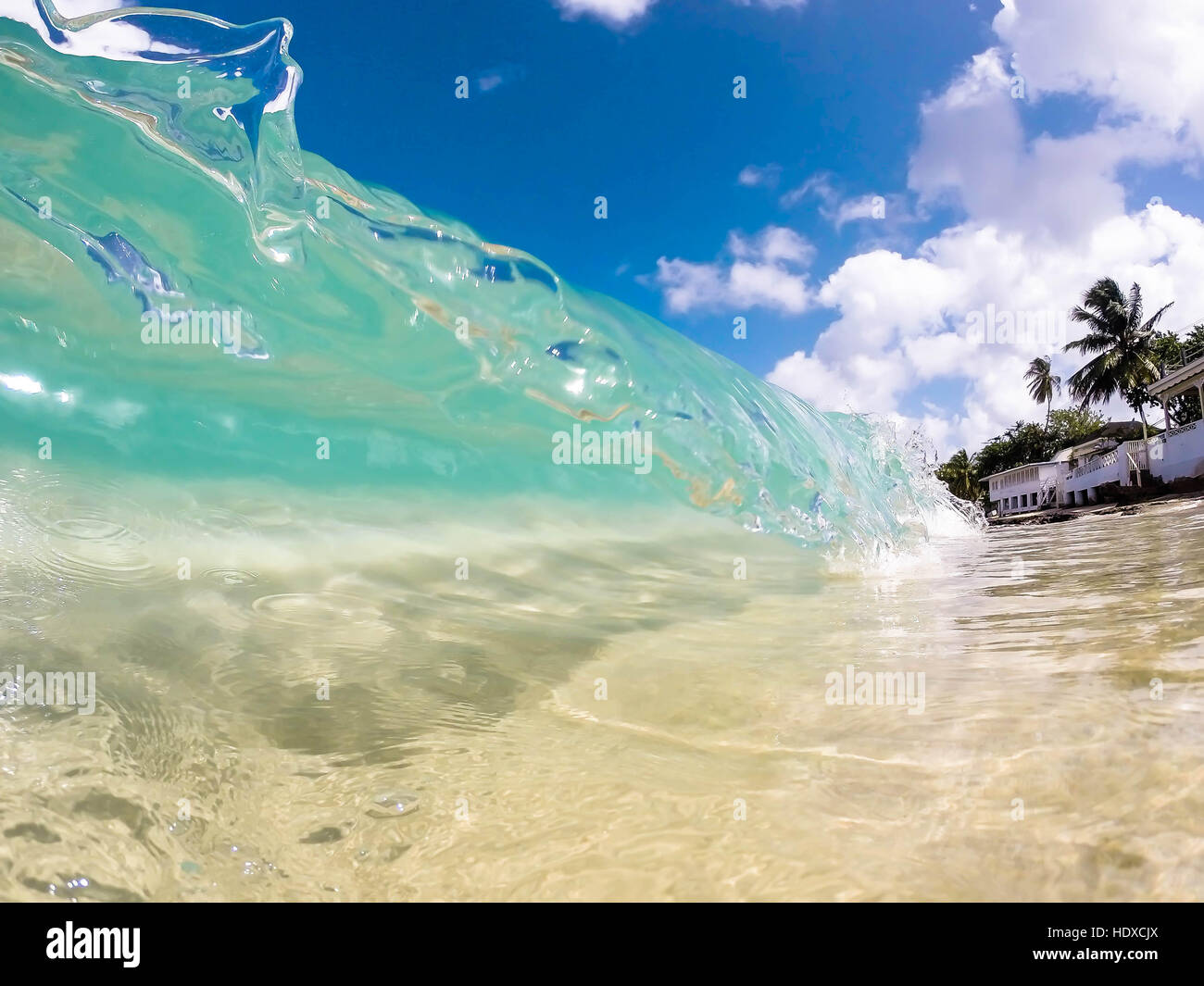 Clear wave in Caribbean Stock Photo - Alamy