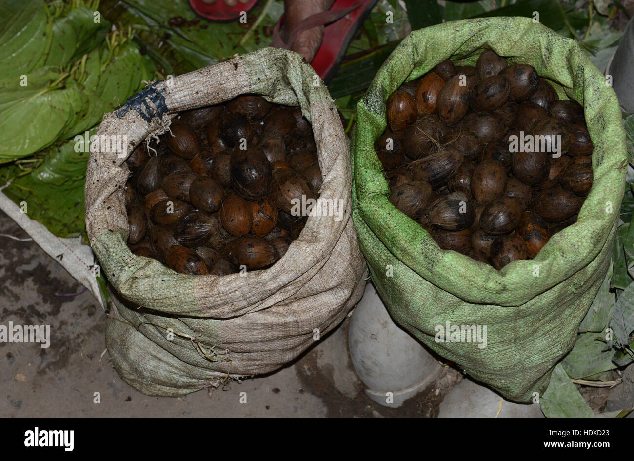 Betel nuts (Areca Nut) on sale at a market in Assam, India Stock Photo Alamy