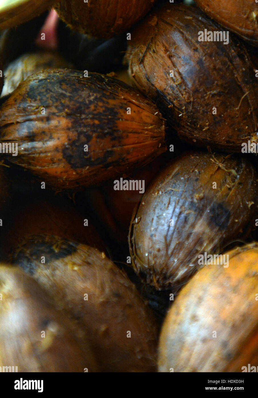 Betel nuts (Areca Nut) on sale at a market in Assam, India Stock Photo