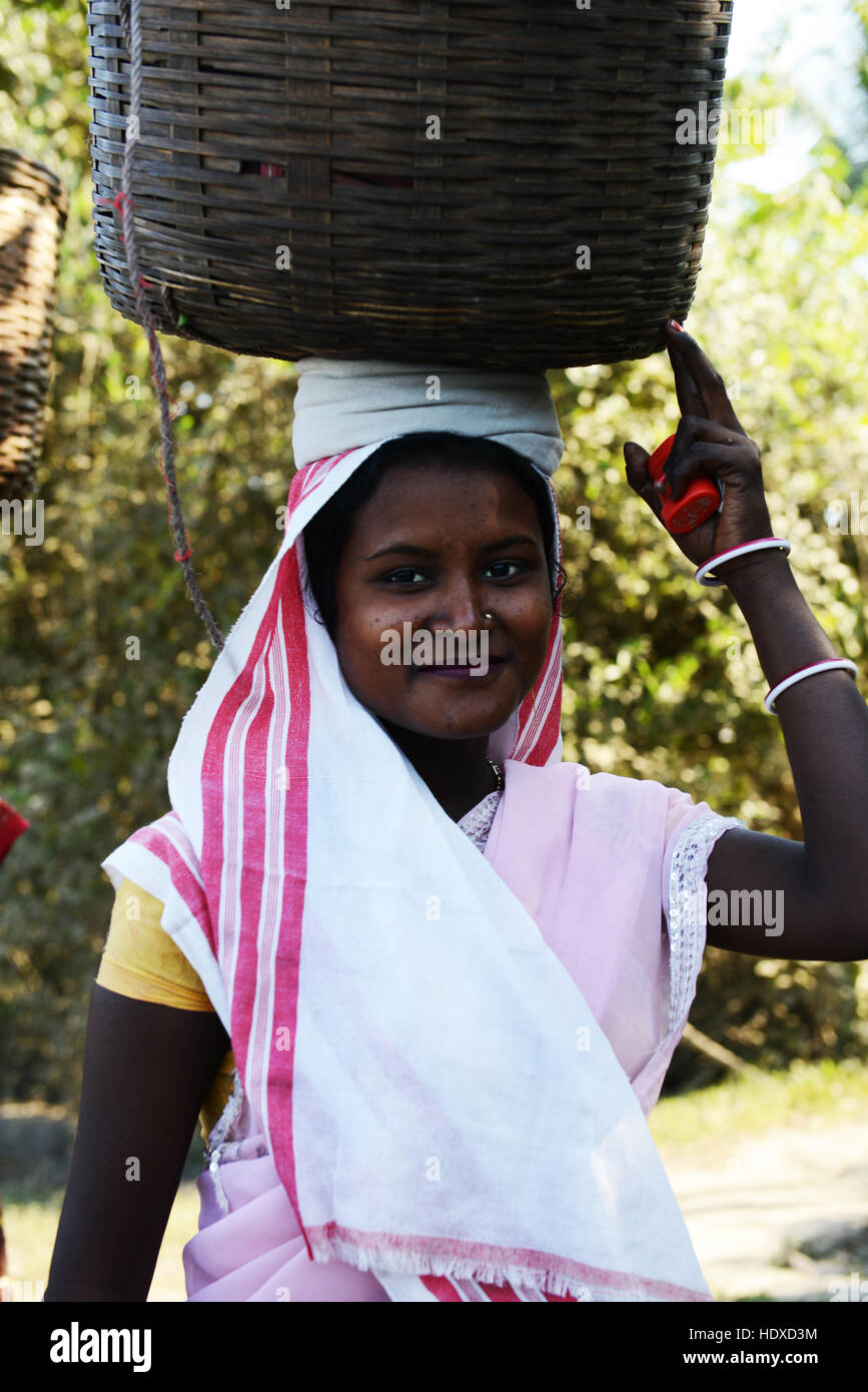 Tea workers walking to the tea plantation for work Stock Photo Alamy