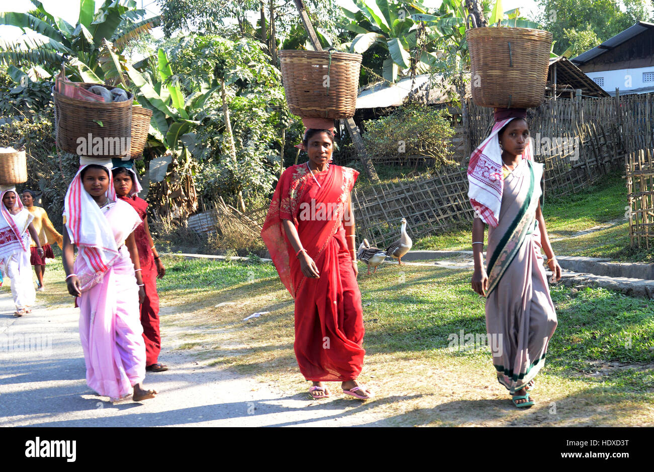 Tea workers walking to the tea plantation for work Stock Photo Alamy