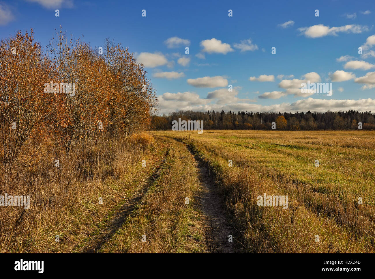Autumn rural landscape with road Stock Photo - Alamy