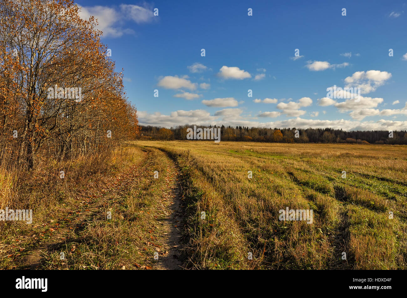Autumn rural landscape with road Stock Photo - Alamy