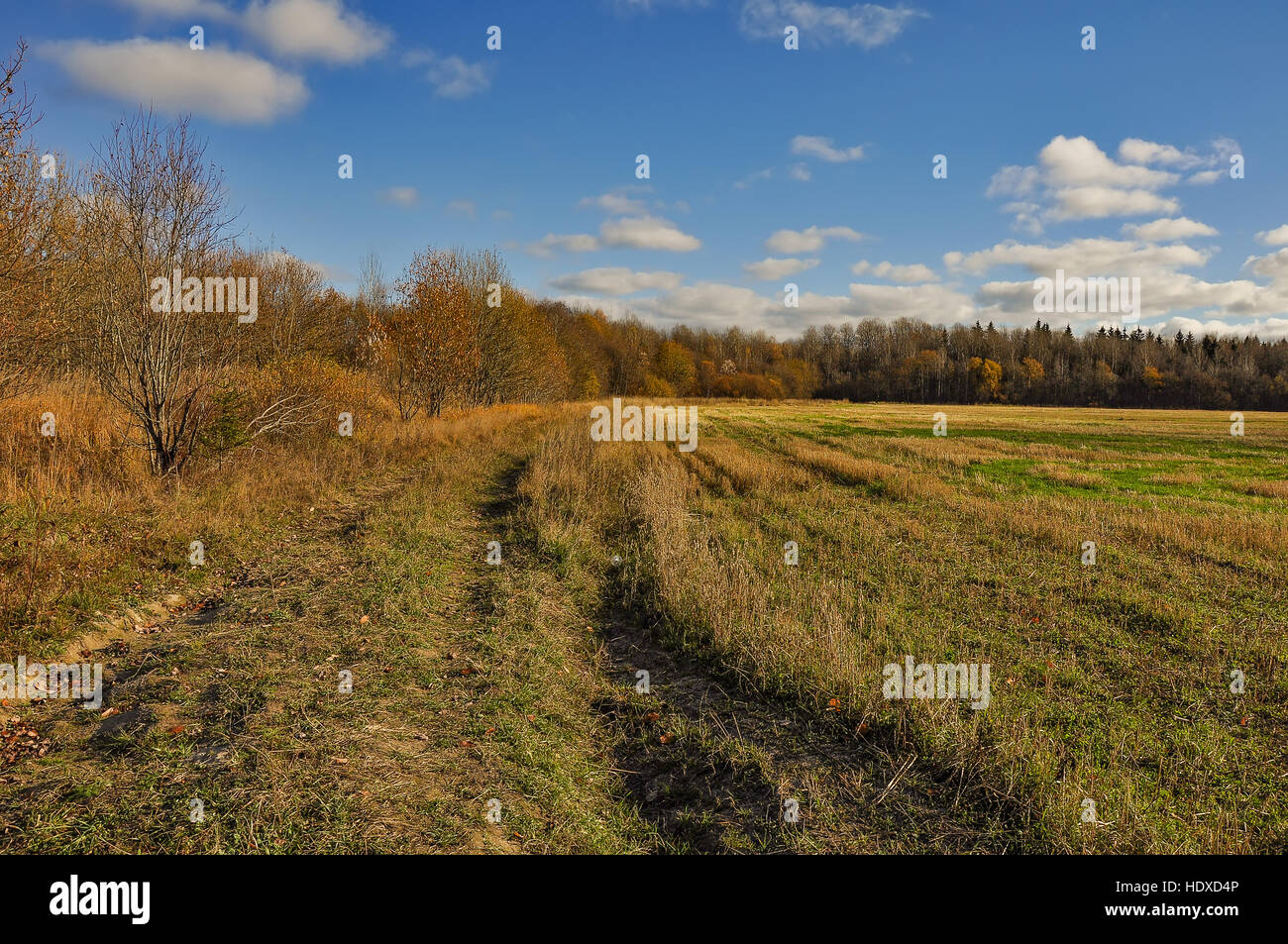 Autumn rural landscape with road Stock Photo - Alamy