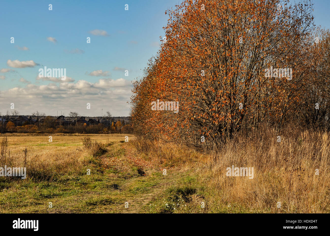 Autumn rural landscape with road Stock Photo - Alamy