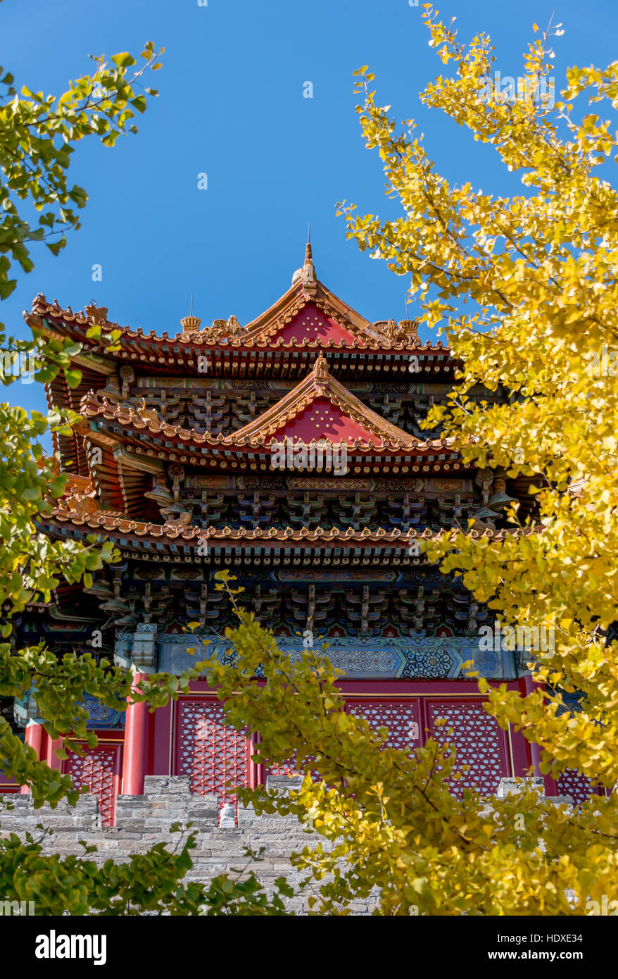 Forbidden City in autumn with colorful fall yellow leaves framing corner tower, Beijing, China Stock Photo