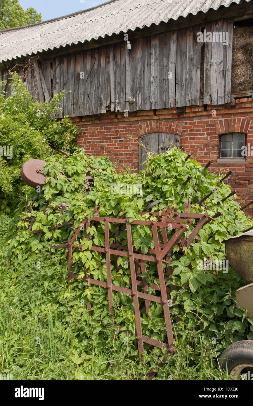 rotten barn, laeven, feldberger seenlandschaft, mecklenburgische ...