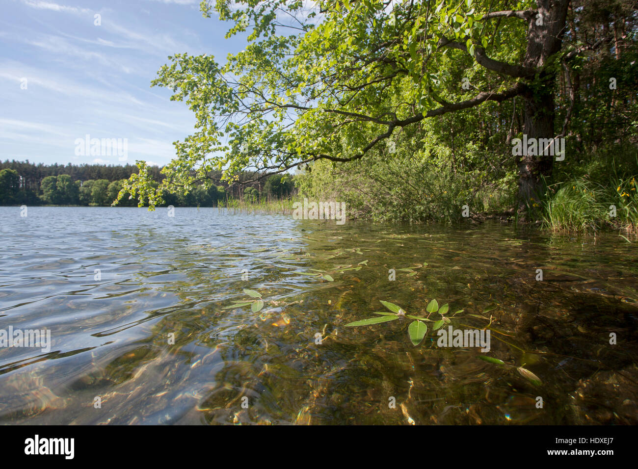 Dreetzsee hi-res stock photography and images - Alamy