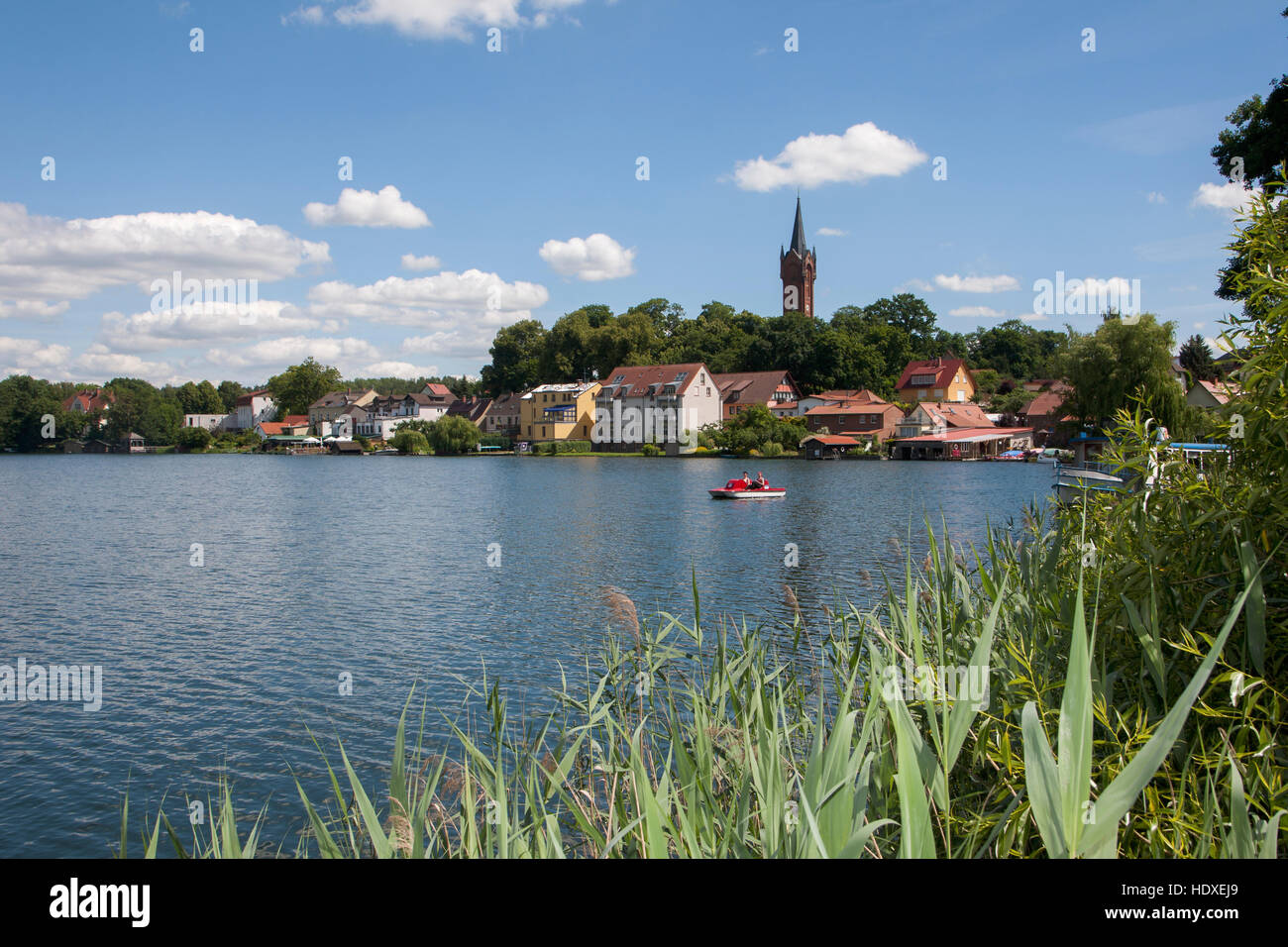 Haussee feldberg feldberger seenlandschaft hires stock photography and