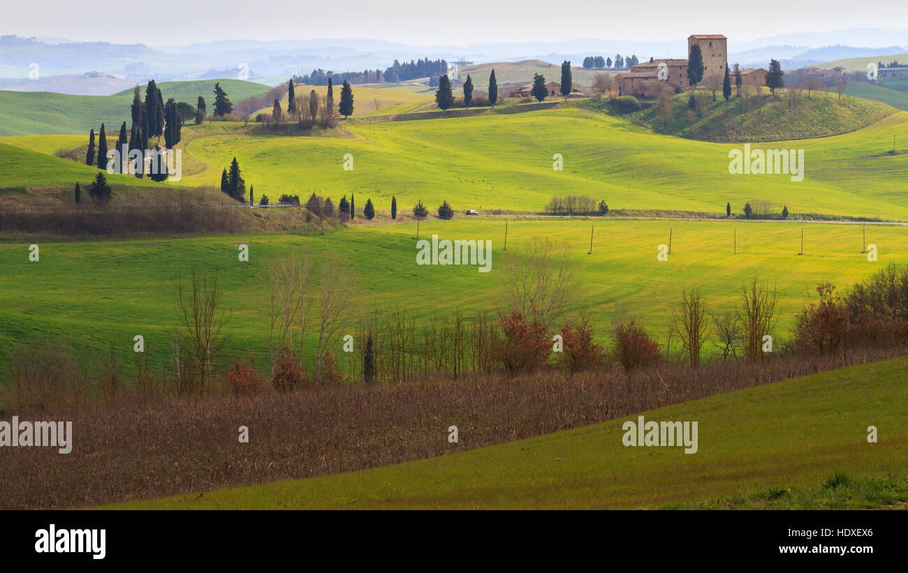 Val d'Orcia, March 2016: Landscape with hill, house and cypress, on ...