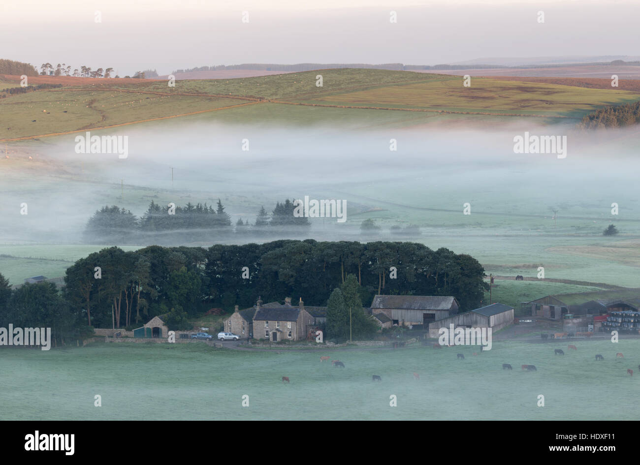 Low-lying mist at dawn by Cawfield Farm, Hadrian's Wall, Northumberland - seen from Cawfield Crags Stock Photo