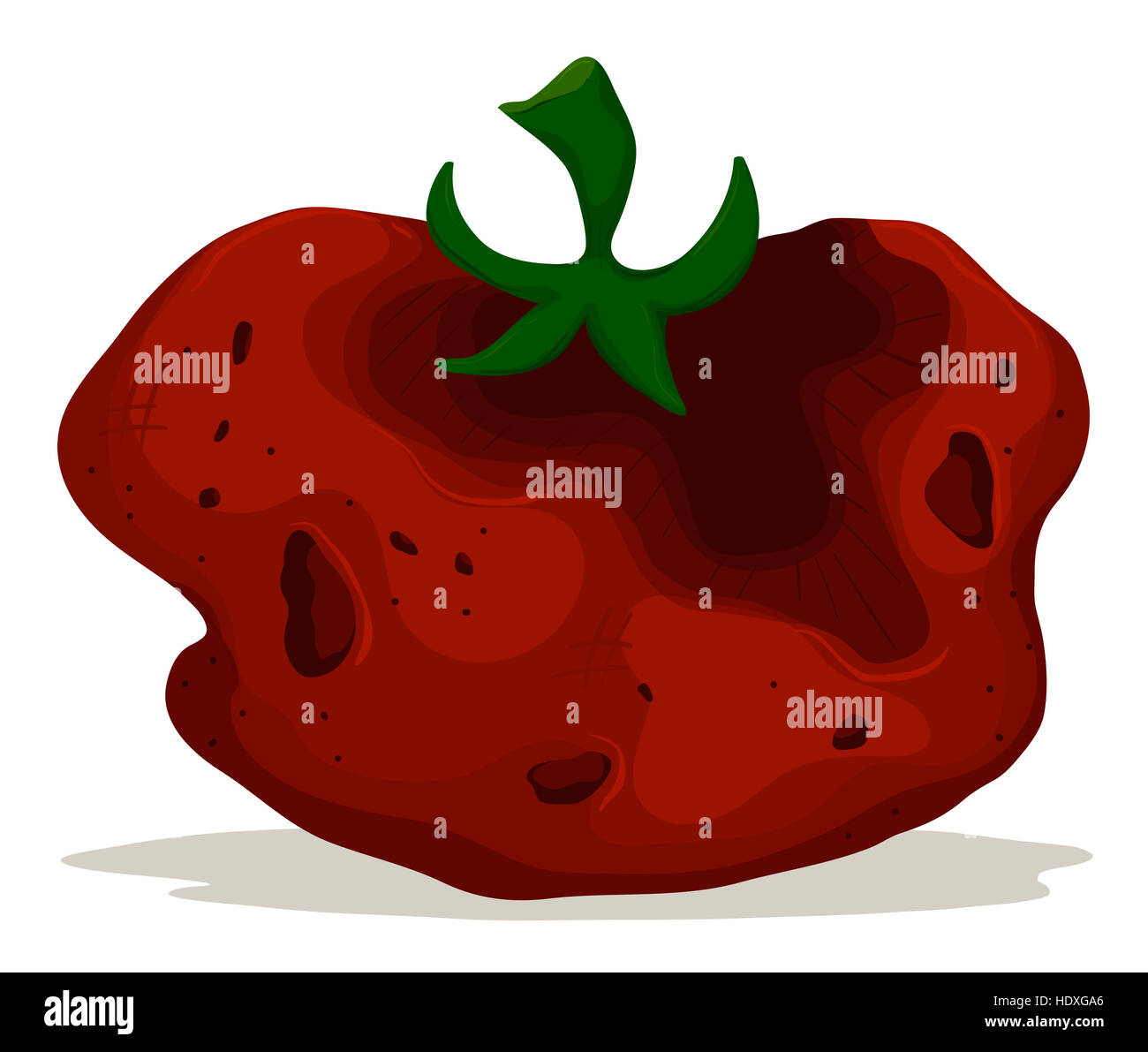 Rotten tomato on white hires stock photography and images Alamy