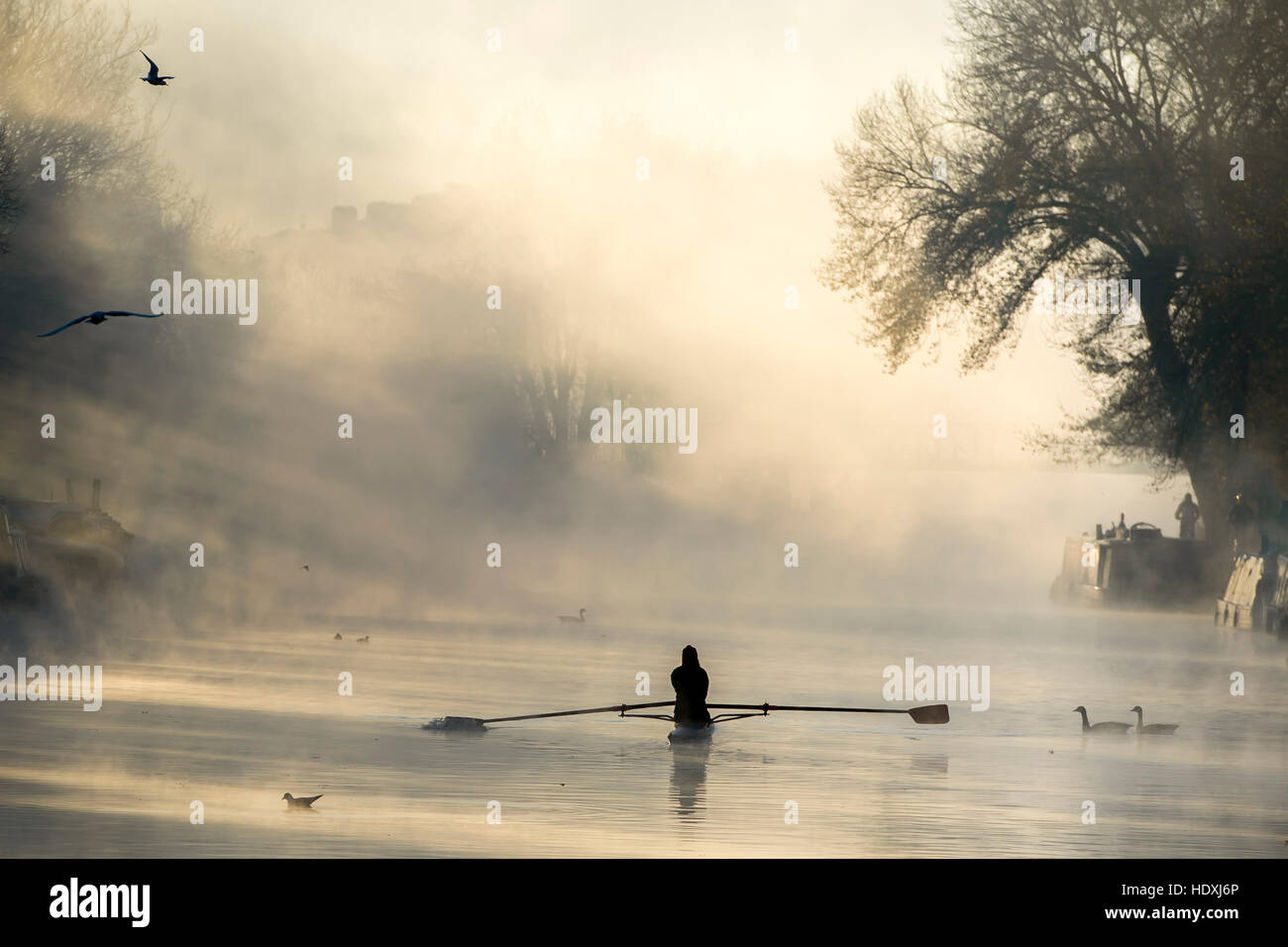 30th November, 2016. London, UK.  A woman rows along the River Lea in Tottenham, London, on a cold misty morning. Photo: David Mirzoeff/ Alamy Stock Photo