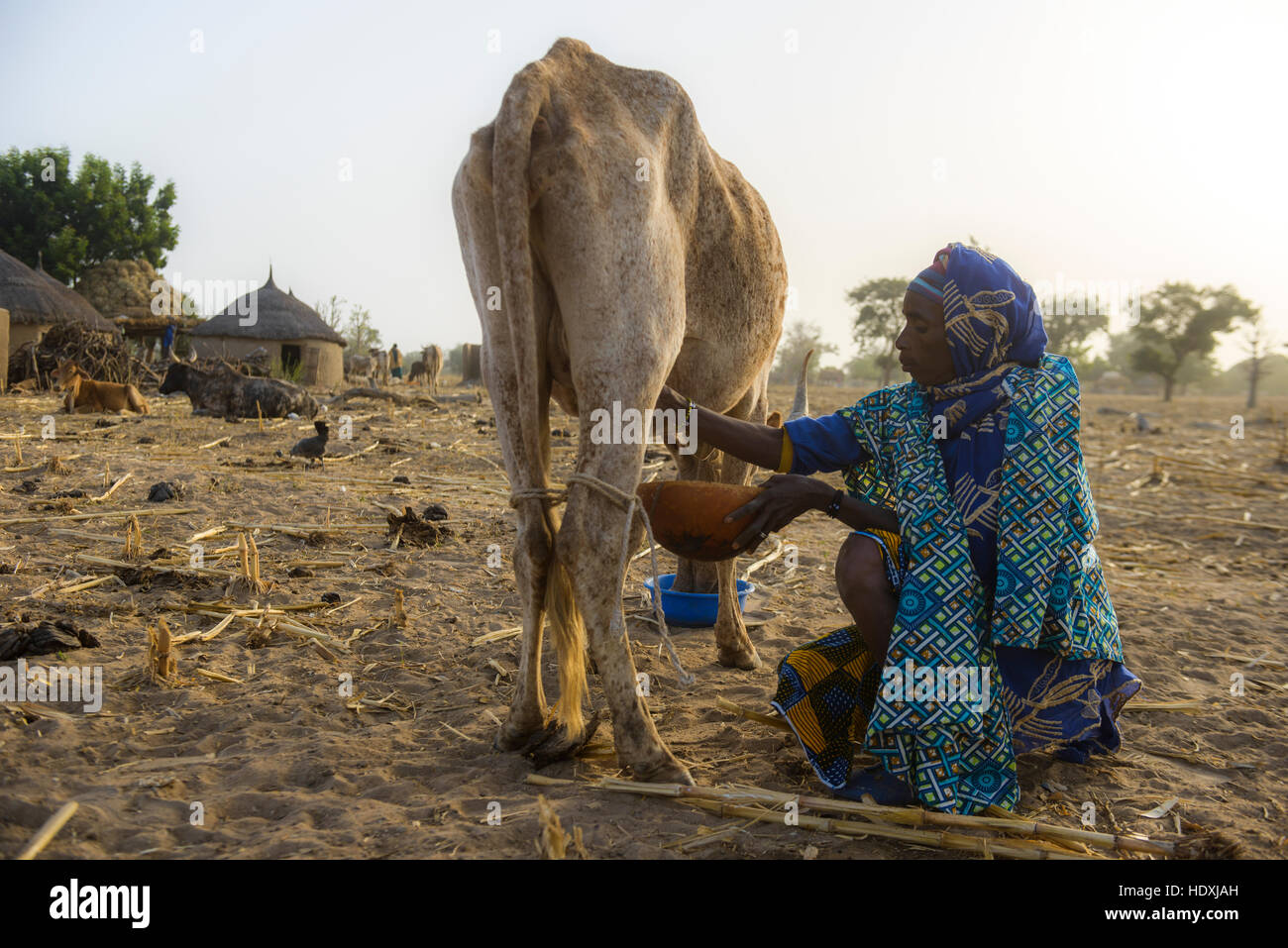 Rural life in a Fulani village of the Sahel in northeastern Burkina Faso Stock Photo