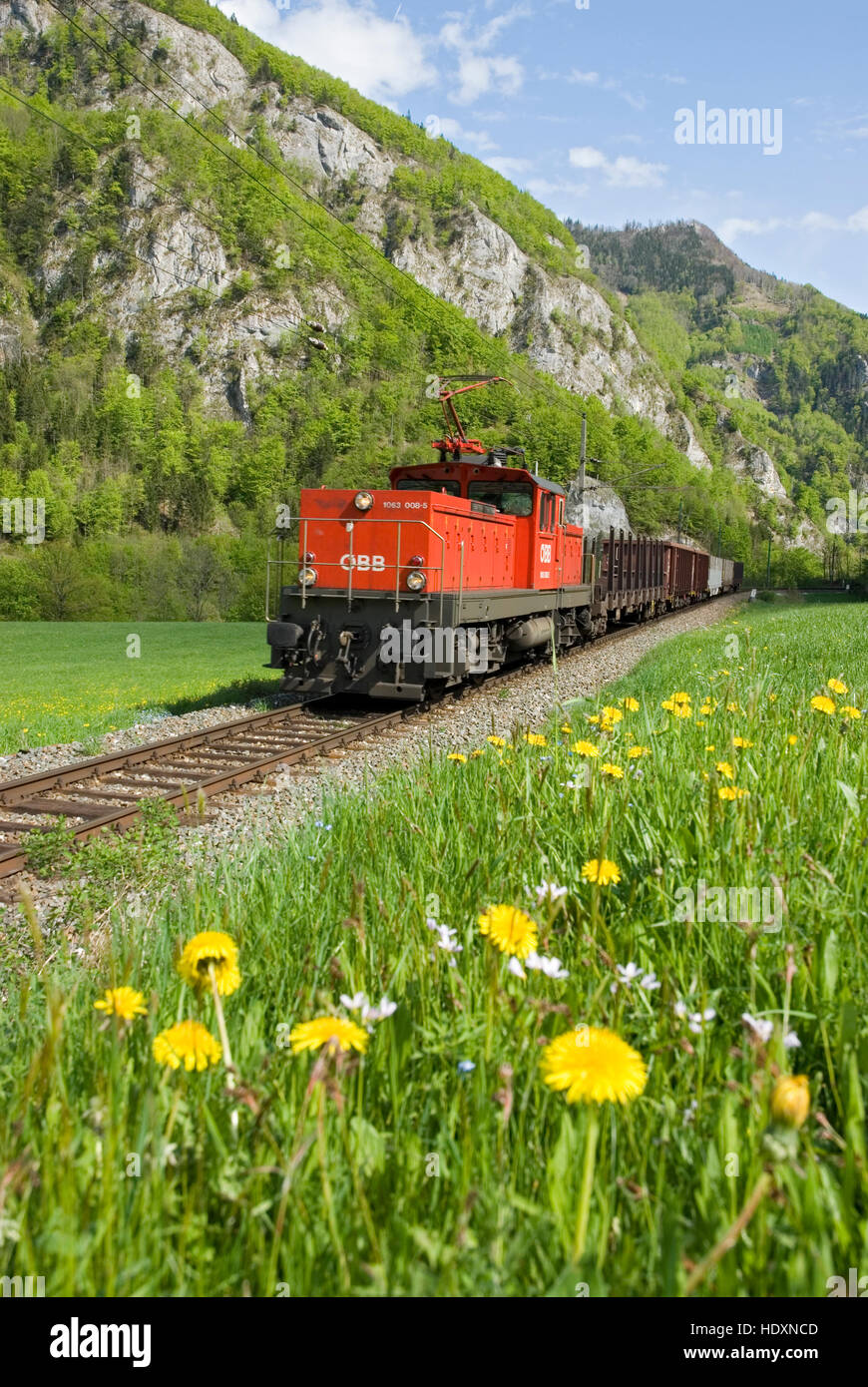 Train, Reichraming, Upper Austria, Austria, Europe Stock Photo